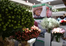 At the EHPEA booth, several Ethiopian growers showed their flowers. 